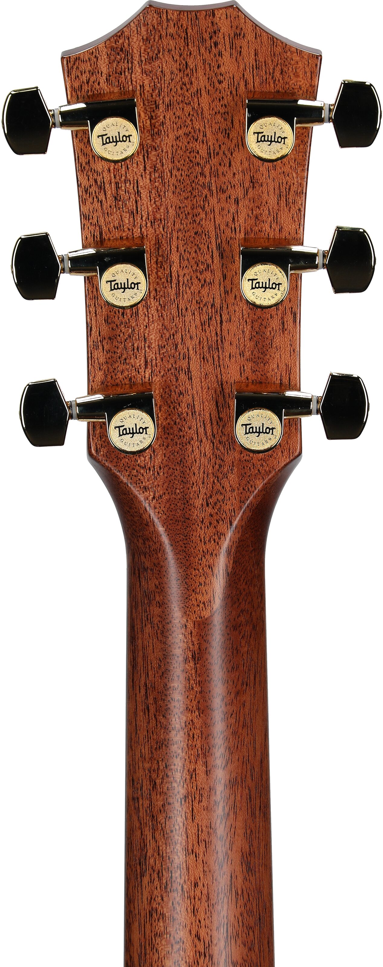 Taylor 514ce Legacy Grand Auditorium Acoustic-Electric Guitar (with Case) 8 Taylor 514ce Legacy Grand Auditorium Acoustic-Electric Guitar (with Case)
