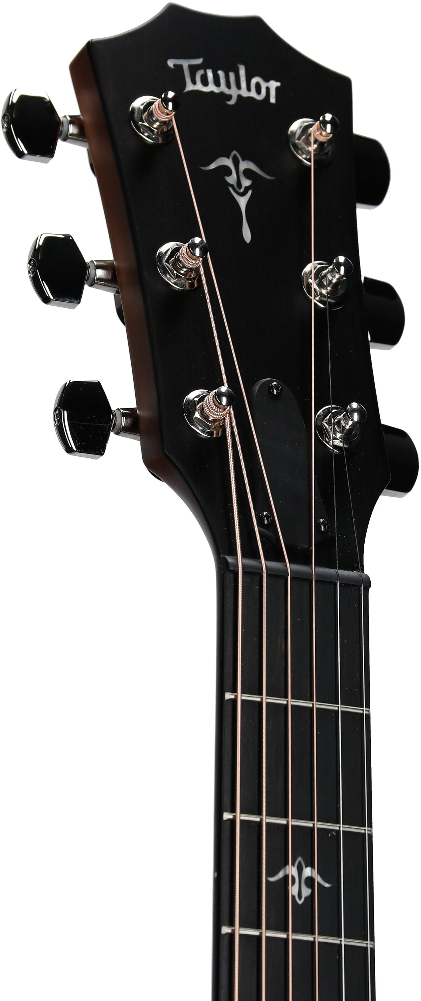 Taylor 512ce Grand Concert Acoustic-Electric Guitar (with Case) 4 Taylor 512ce Grand Concert Acoustic-Electric Guitar (with Case)