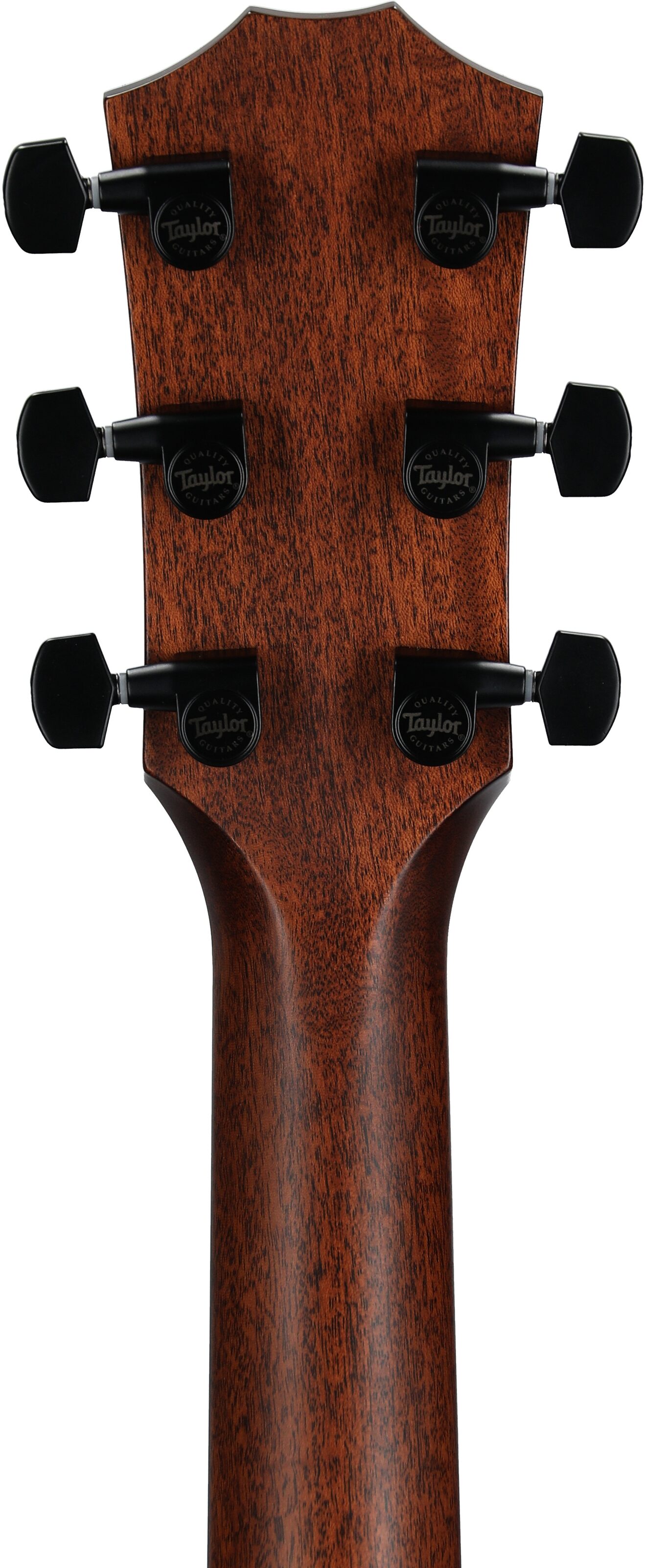 Taylor 324ce Grand Auditorium Acoustic-Electric Guitar (with Case) 8 Taylor 324ce Grand Auditorium Acoustic-Electric Guitar (with Case)