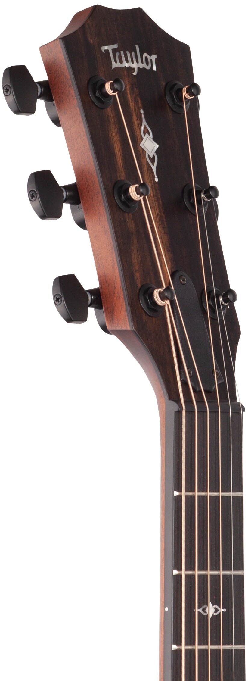 Taylor 322ce Grand Concert Acoustic-Electric Guitar 5 Taylor 322ce Grand Concert Acoustic-Electric Guitar