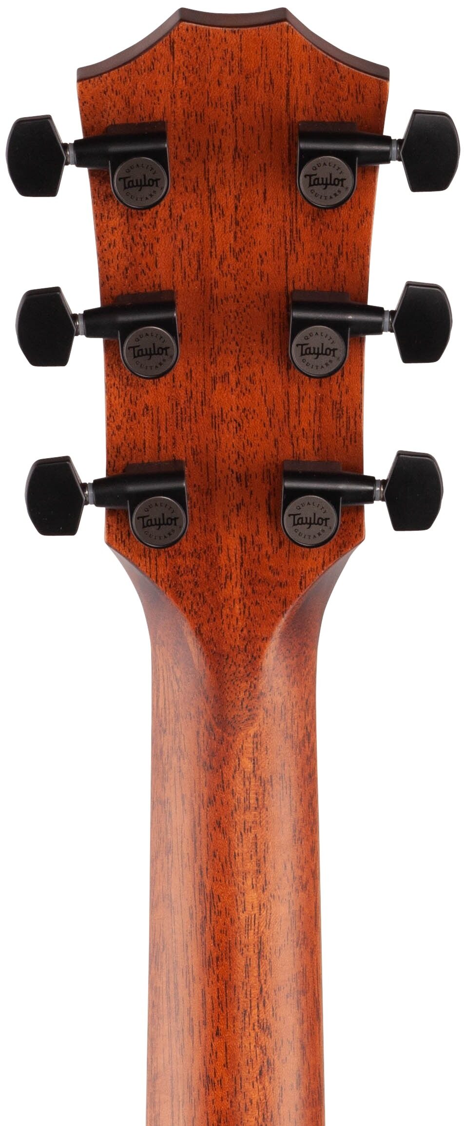 Taylor 322ce Grand Concert Acoustic-Electric Guitar 8 Taylor 322ce Grand Concert Acoustic-Electric Guitar