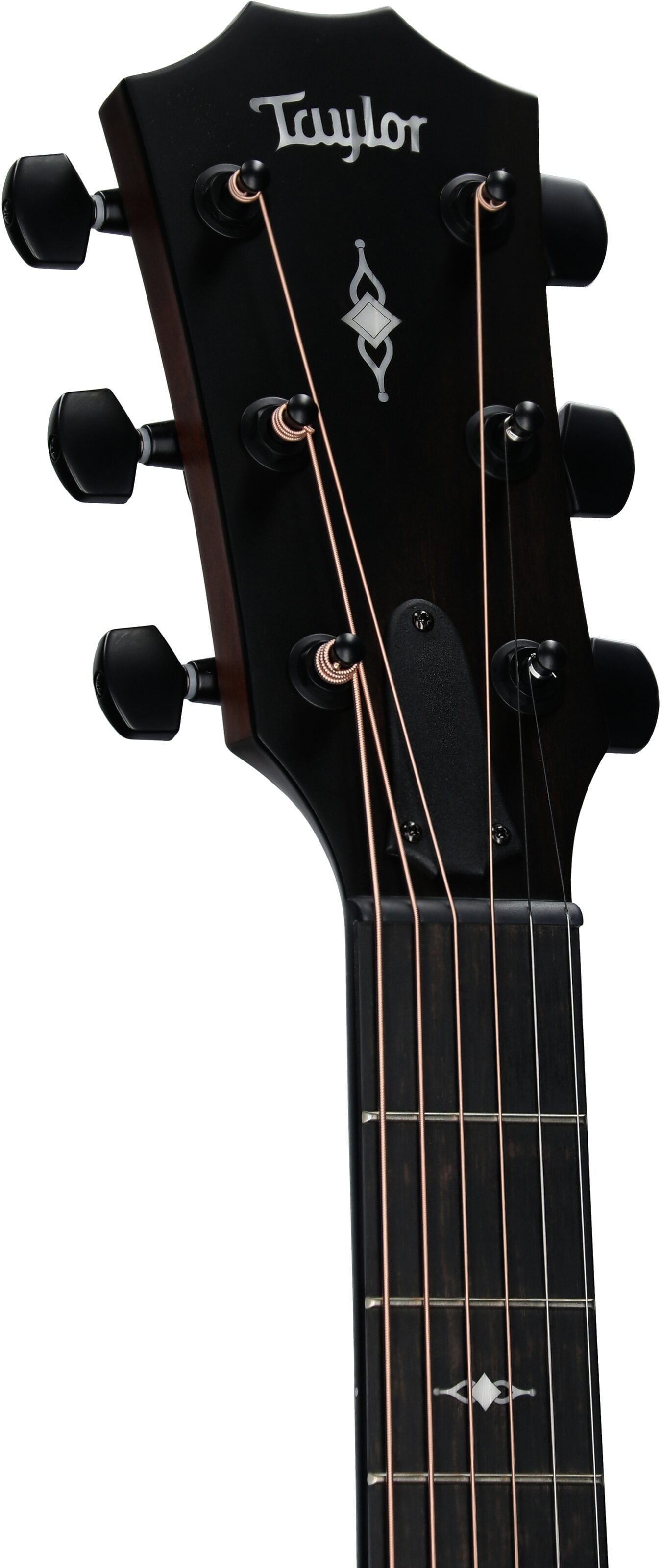 Taylor 322CE Cutaway Acoustic-Electric Guitar 4 Taylor 322CE Cutaway Acoustic-Electric Guitar