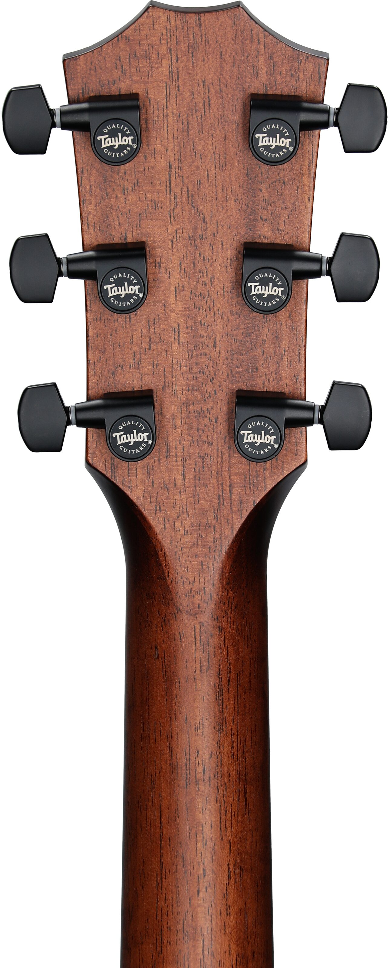 Taylor 322CE Cutaway Acoustic-Electric Guitar 8 Taylor 322CE Cutaway Acoustic-Electric Guitar