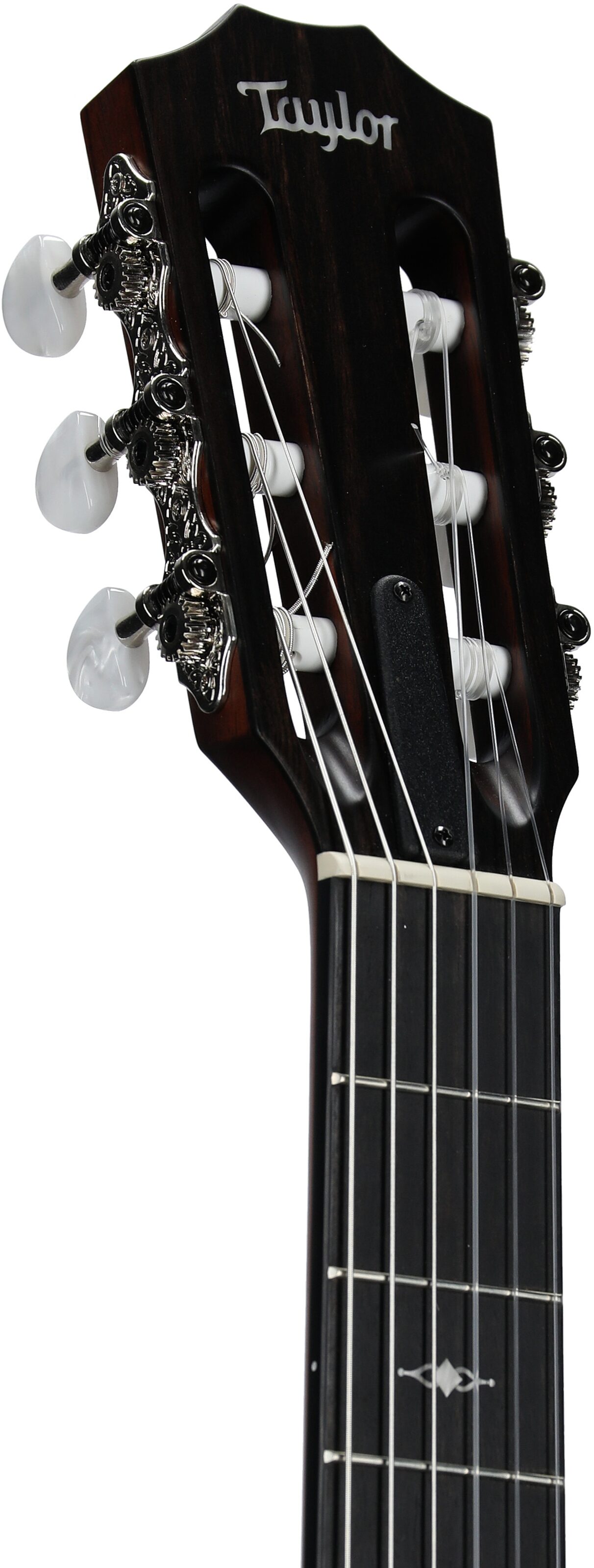 Taylor 314ce-N Grand Auditorium Classical Acoustic-Electric Guitar (with Case) 4 Taylor 314ce-N Grand Auditorium Classical Acoustic-Electric Guitar (with Case)