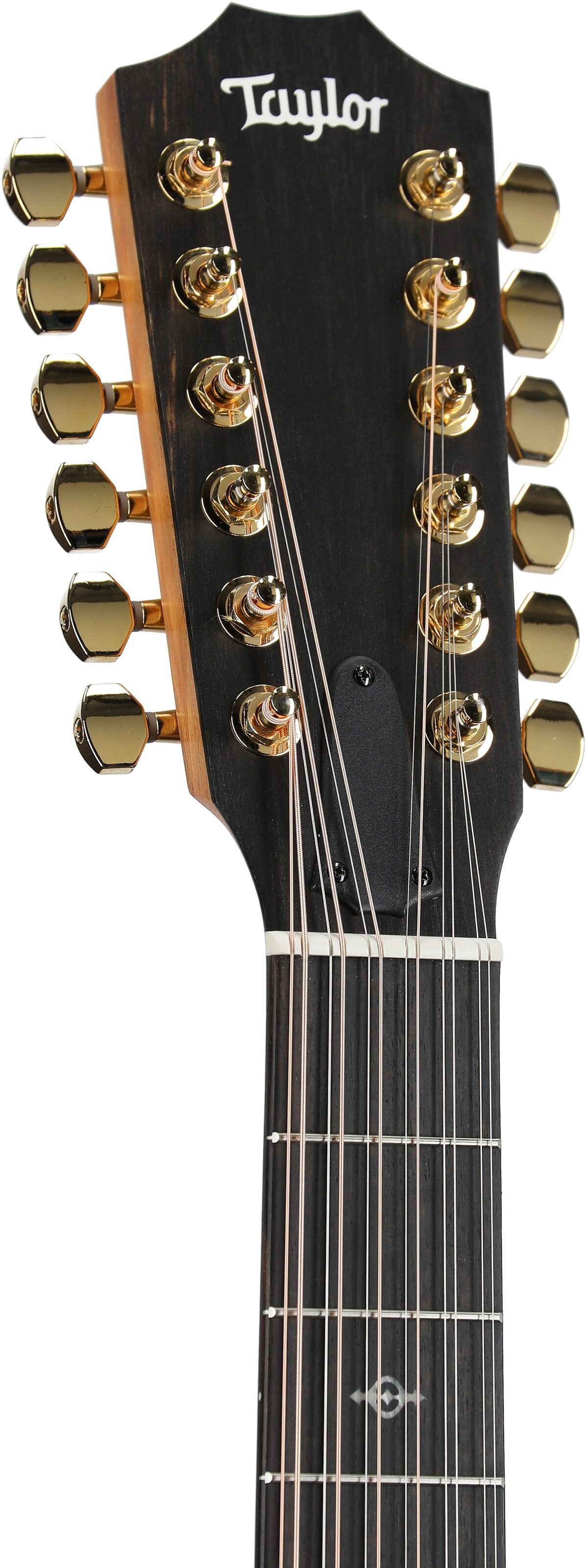 Taylor 264ce-K Deluxe 12-String Grand Auditorium Acoustic-Electric Guitar (with Case) 4 Taylor 264ce-K Deluxe 12-String Grand Auditorium Acoustic-Electric Guitar (with Case)