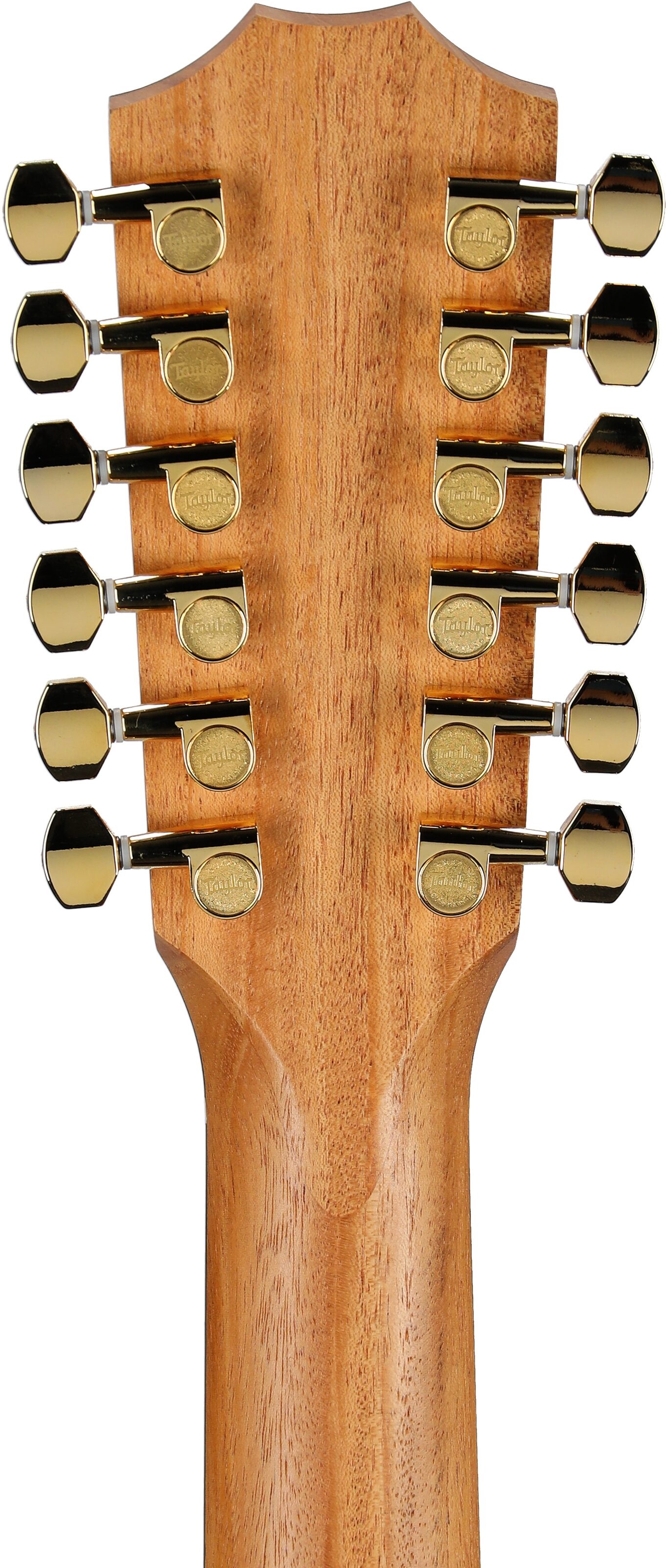 Taylor 264ce-K Deluxe 12-String Grand Auditorium Acoustic-Electric Guitar (with Case) 8 Taylor 264ce-K Deluxe 12-String Grand Auditorium Acoustic-Electric Guitar (with Case)