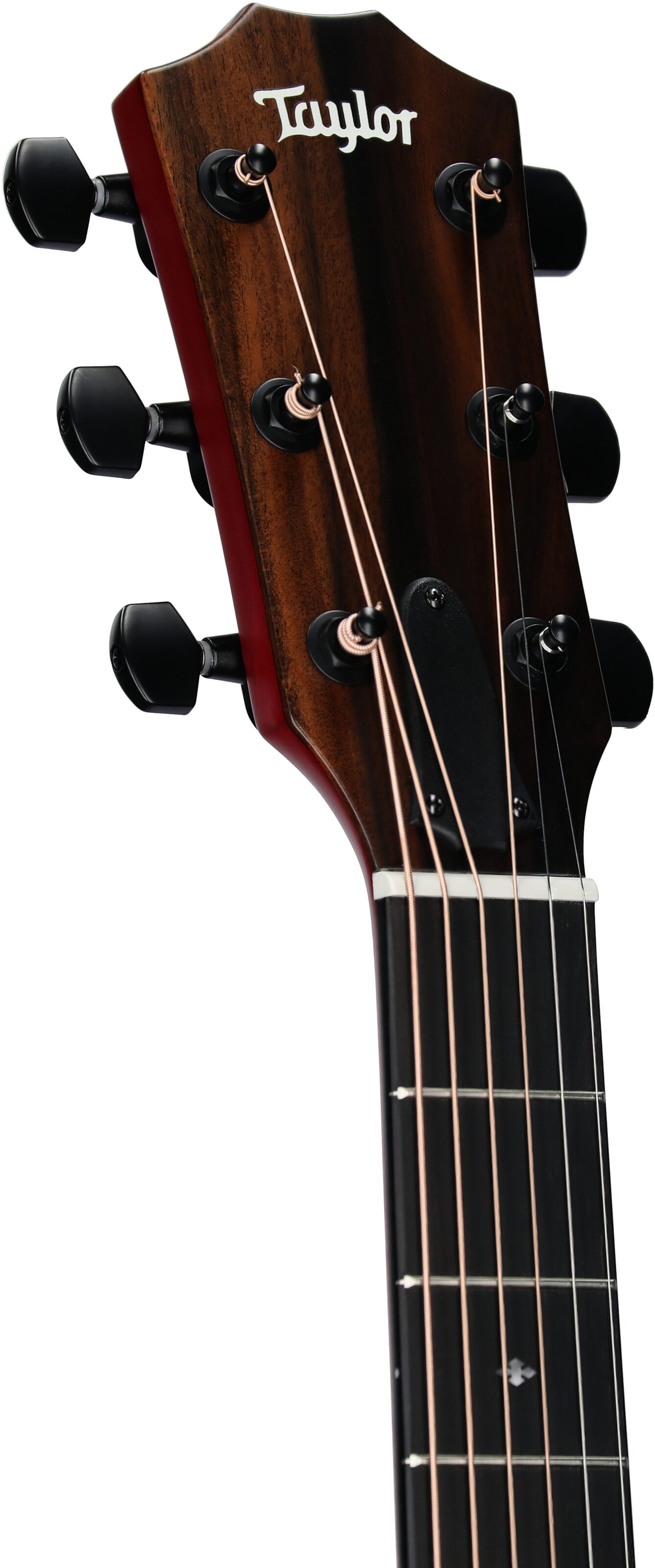 Taylor 224ce-SE Special Edition Red Grand Auditorium Acoustic-Electric Guitar (with Case) 4 Taylor 224ce-SE Special Edition Red Grand Auditorium Acoustic-Electric Guitar (with Case)