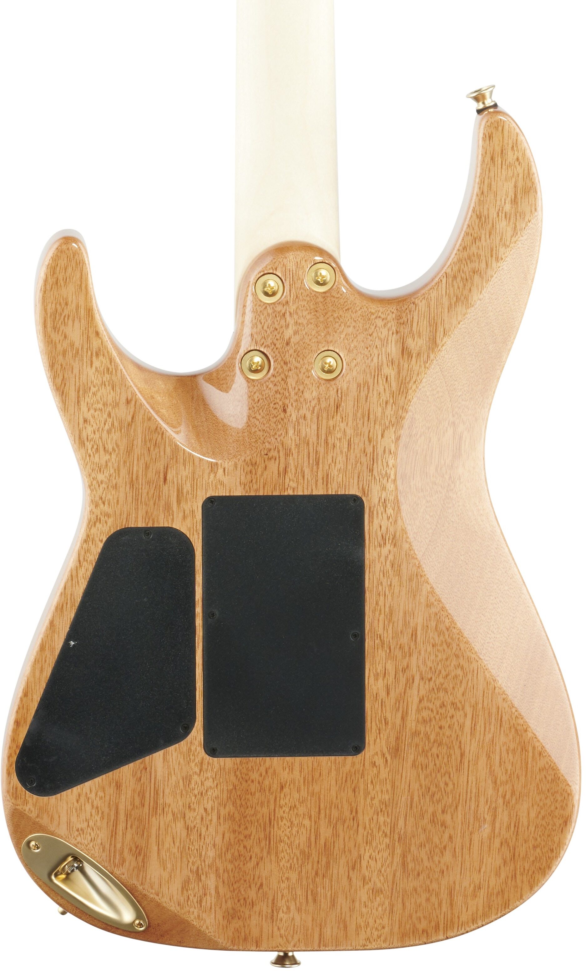 Charvel Pro-Mod DK24 HH FR M Electric Guitar 7 Charvel Pro-Mod DK24 HH FR M Electric Guitar